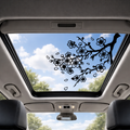 Cherry Blossom Branch Window Decal
